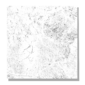 ARAYA GRIS 1280x1280