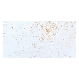 ARAYA ARENA SATINADO 25X40