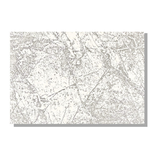 coral gris 25X401080x1080