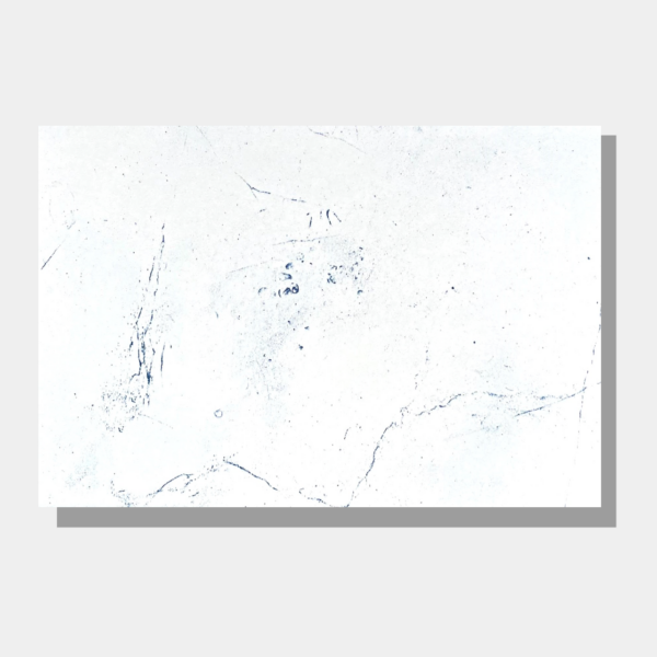 MOCHIMA AZUL 2 1280x1280